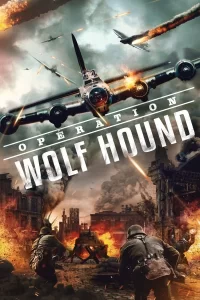 Opération Wolf Hound
